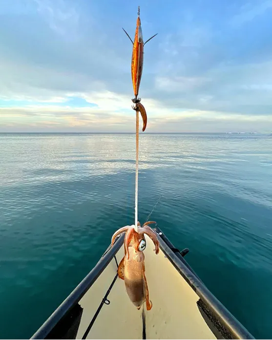 img100-43rvcopy_1757326172