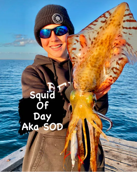 img100-43rvcopy_1757326349